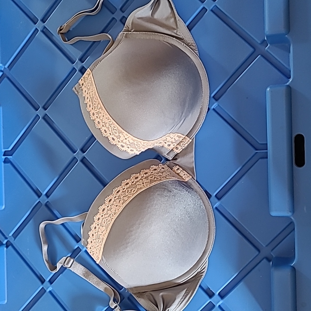Gap Body 36D
